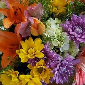 Meet your Posher, Emily